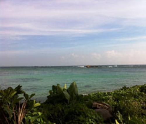 Half an acre of stunning ocean front property