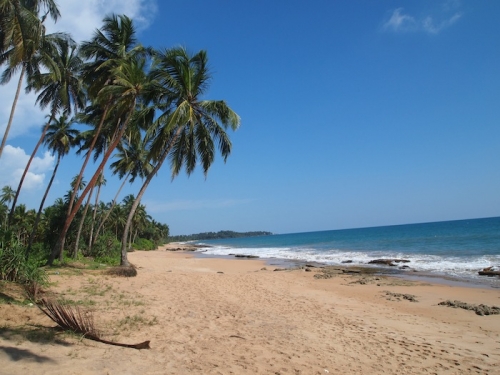 Large portion of beachfront land
