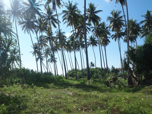 Large portion of beachfront land