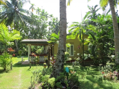 Two Properties in Akurala