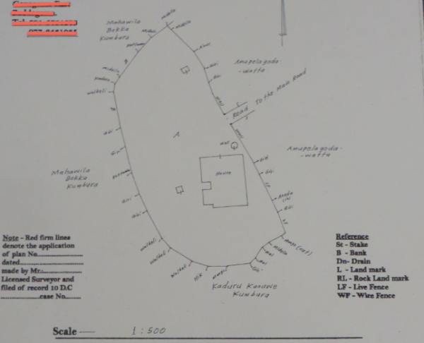 Paddy Front Property