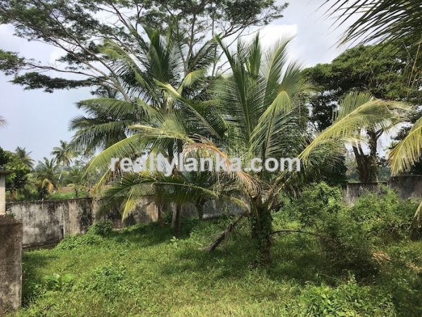 Property with a paddy view