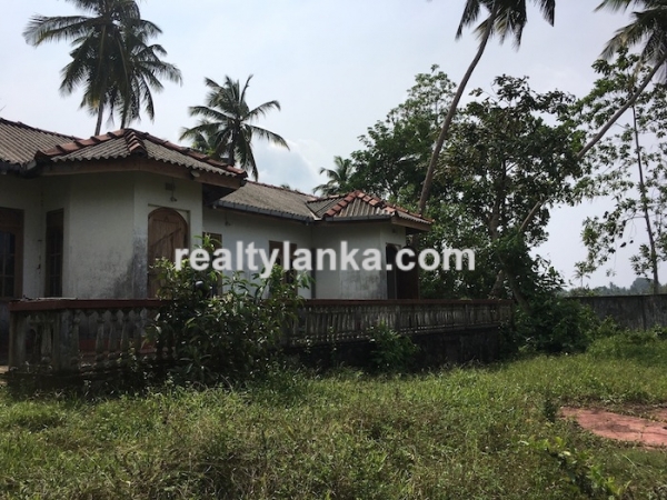 Property with a paddy view