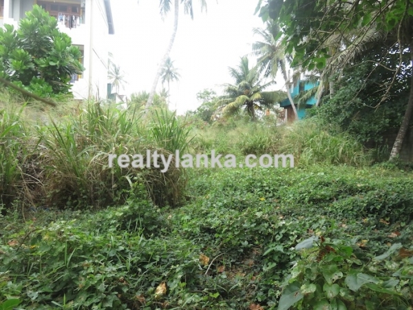 Beachfront Property Near To Dikwella Town