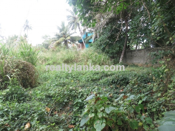 Beachfront Property Near To Dikwella Town