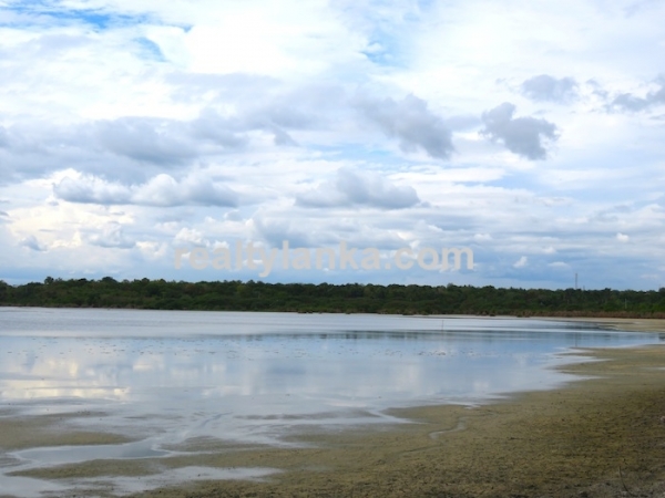 Bare Land Facing the Lagoon