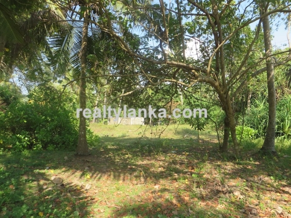 Beachfront property with panoromic view