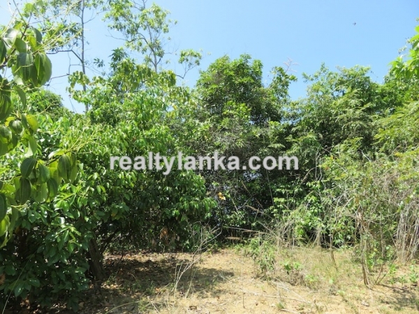 Property with Breathtaking View Of Koggala Lake