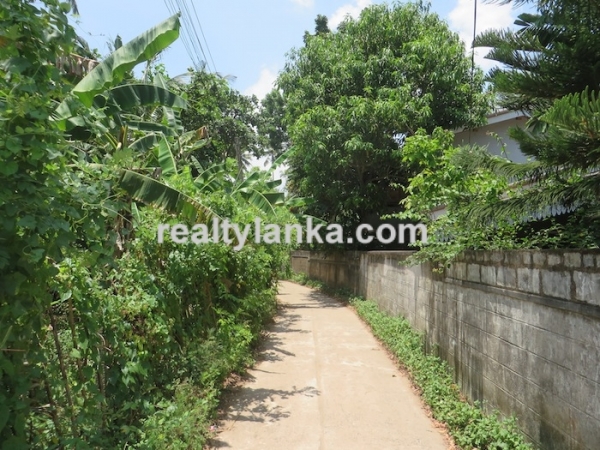 Inland Property Near Weligama Surfing Area