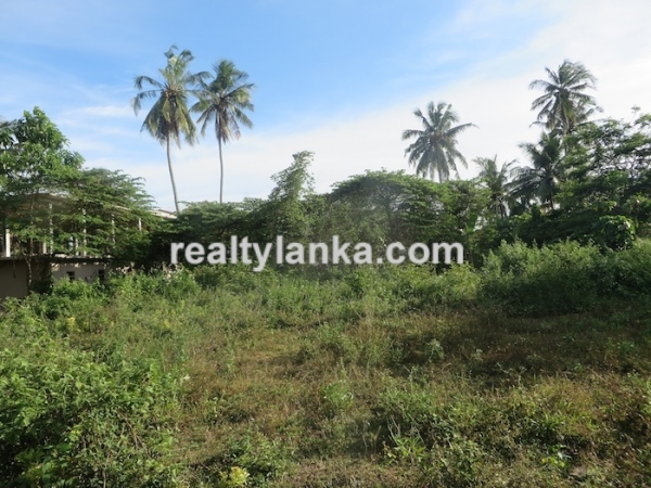 90P Perches in Midigama