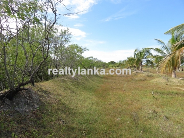 43 Acres Propety in Kalpitiya Lagoon