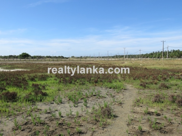 43 Acres Propety in Kalpitiya Lagoon