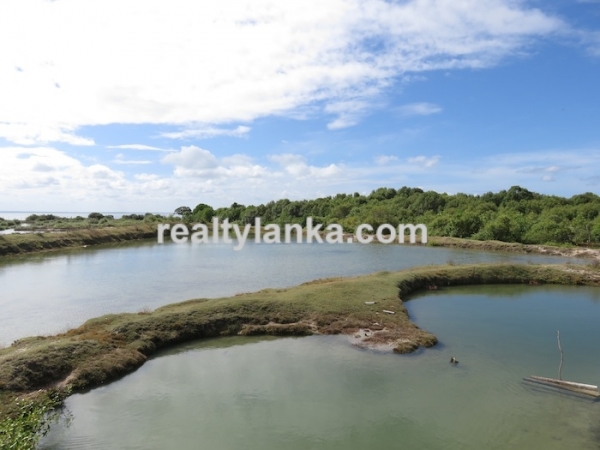 43 Acres Propety in Kalpitiya Lagoon