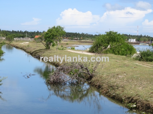 43 Acres Propety in Kalpitiya Lagoon
