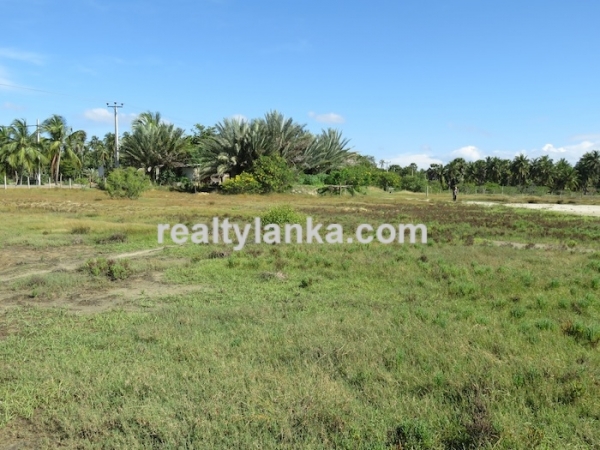 43 Acres Propety in Kalpitiya Lagoon