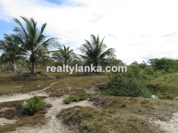 43 Acres Propety in Kalpitiya Lagoon