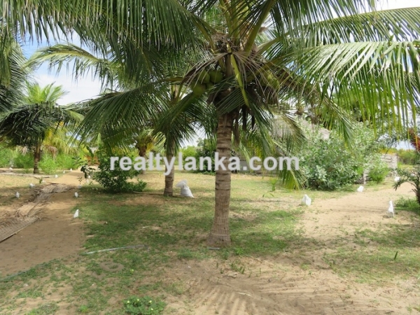 Heaven On Earth in Kalpitiya