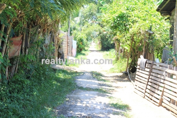 Bareland In Ginthota