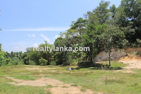 Bareland In Ginthota