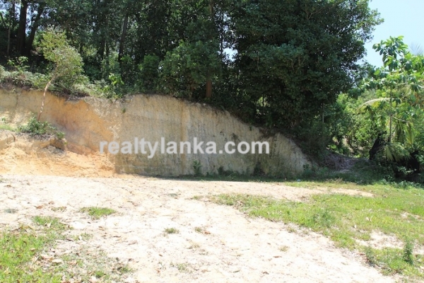 Bareland In Ginthota