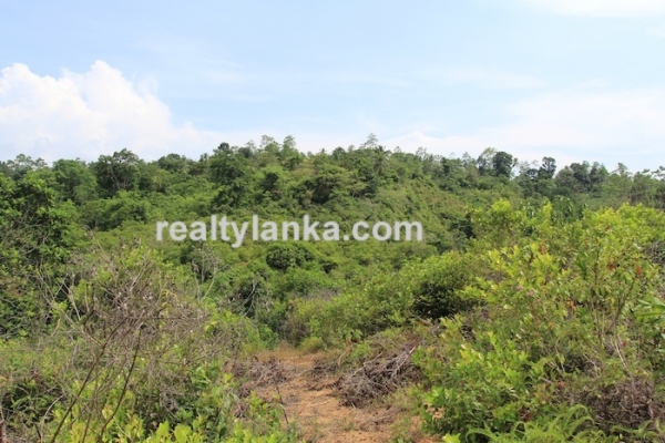 Property with a Relaxing View Over Paady