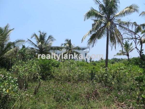 Breathtaking Beach Property in Weligama