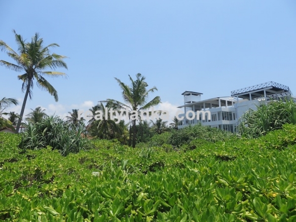 Breathtaking Beach Property in Weligama