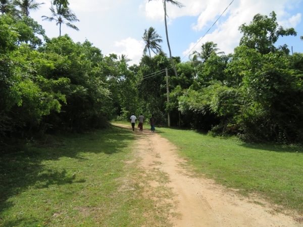 7.5 Acres Beach Property In Rekawa