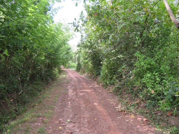 7.5 Acres Beach Property In Rekawa