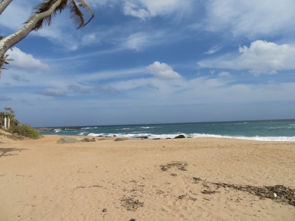 7.5 Acres Beach Property In Rekawa
