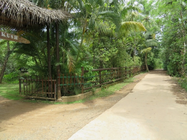 Peaceful Relaxing River Front Property