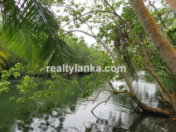 River front Proprty In A Calm & Quiet Area