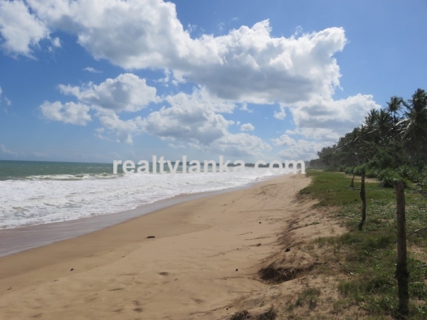 Beachfront Property In Rakawa