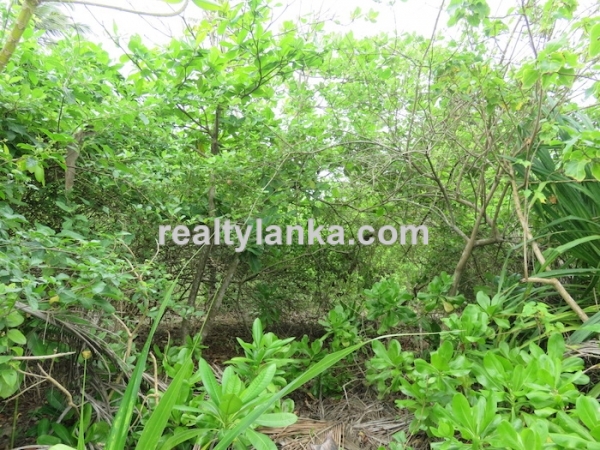 38M Beachfront Property In Balapitiya