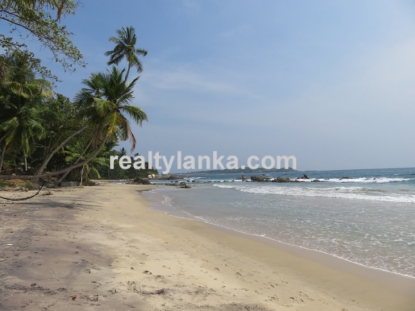 Beachfront Property In Dickwella