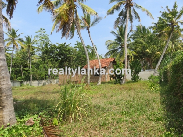 Beachfront Property In Dickwella