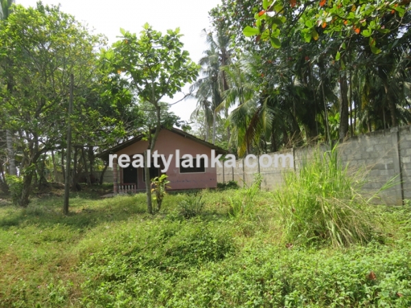 Beachfront Property In Dickwella