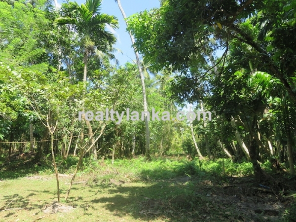 A Small Colonial House In Habaraduwa