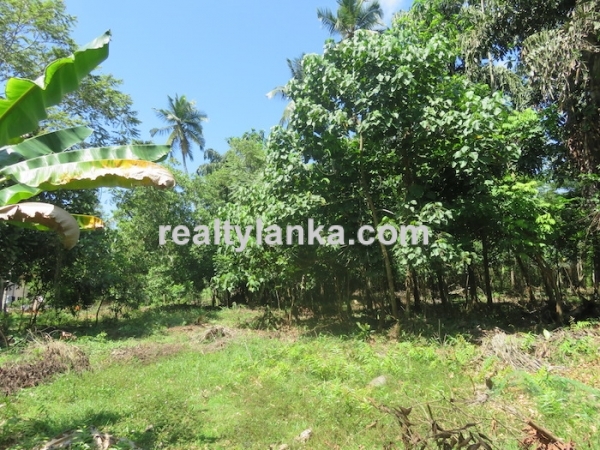 A Small Colonial House In Habaraduwa