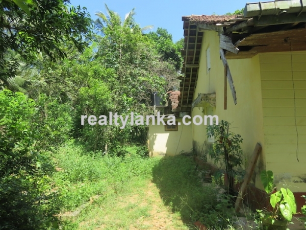 A Small Colonial House With Paddy View