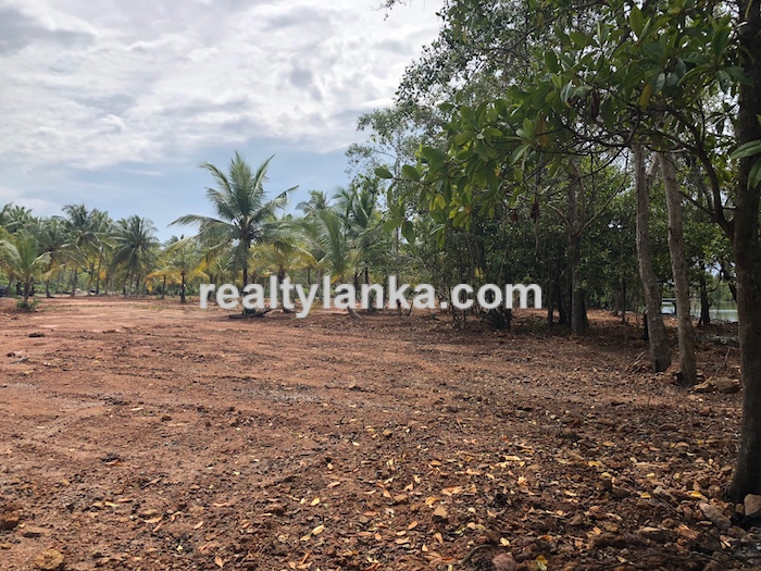 Bareland By The Water