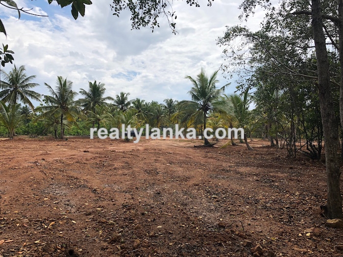 Bareland By The Water