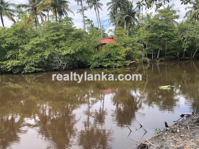 Bareland By The Water