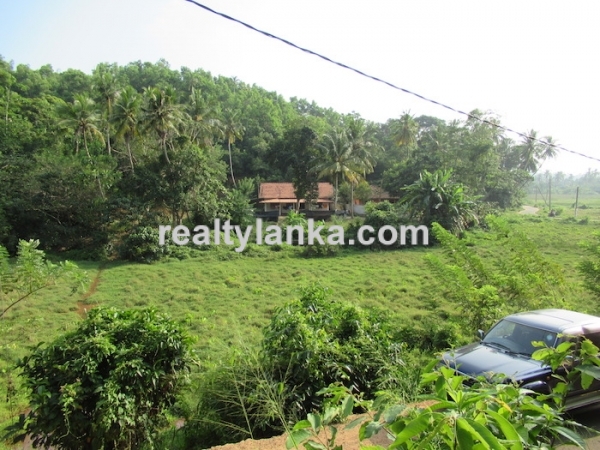 Elevated Paddy View Property In Mirissa
