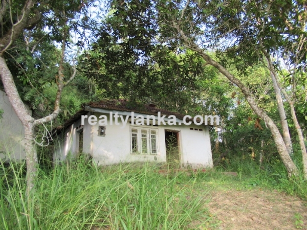 Elevated Paddy View Property In Mirissa