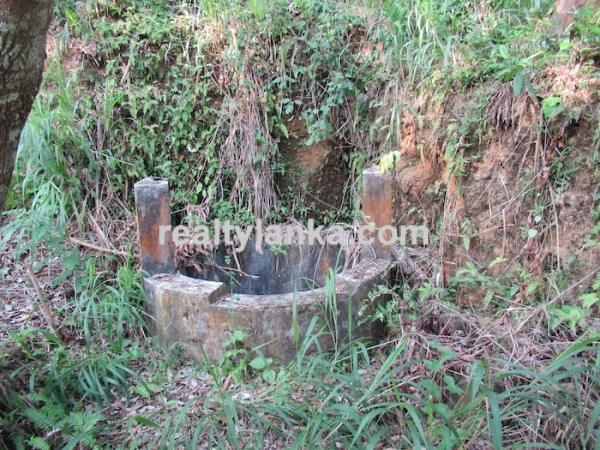 Elevated Paddy View Property In Mirissa