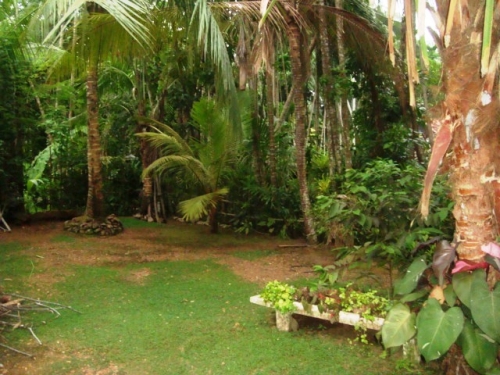 Gorgeous property close to the beach