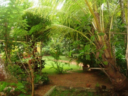 Gorgeous property close to the beach