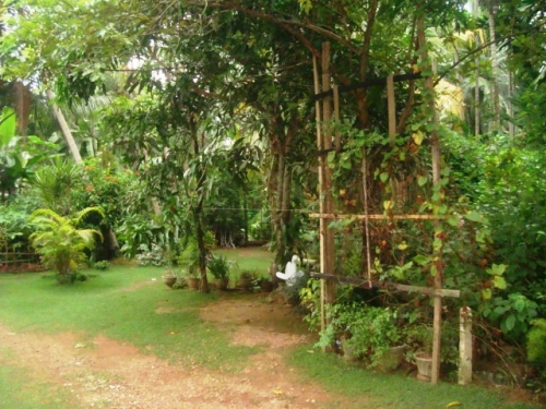 Gorgeous property close to the beach