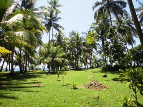 Rare South Coast Headland  Dondra